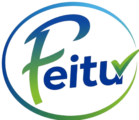 Logo FEITU